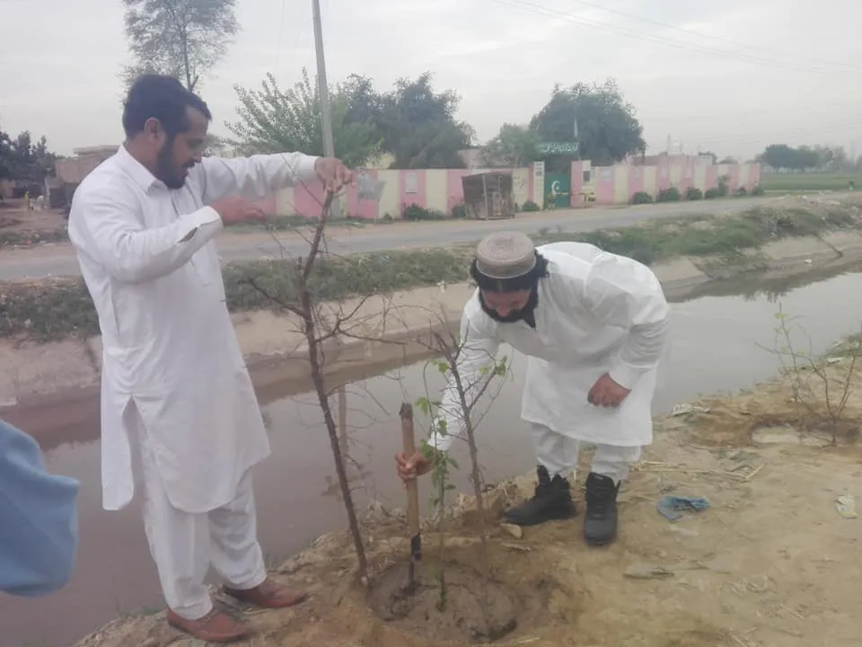 Green Seekers Activity